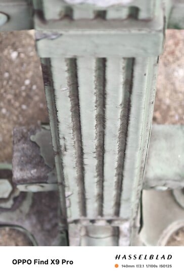 L'Oppo Find X9 Pro sans monture d'objectif affiche des couleurs précises.