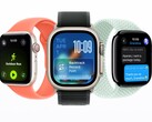 Bien que watch0S 26 n'améliore pas l'autonomie de la batterie, il avertit au moins les utilisateurs lorsque la consommation d'énergie est trop élevée. (Source de l'image : Apple)