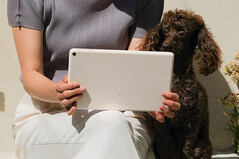 Selon les rumeurs, Google aurait créé quatre options de couleur pour la tablette Pixel. (Source de l'image : Google)