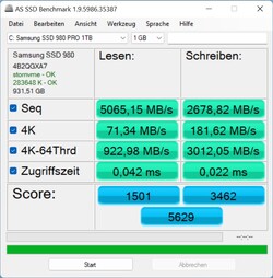 Des scores inférieurs à la moyenne en AS SSD pour une 980 Pro.