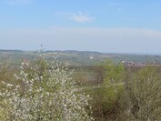 Sony Xperia 1 VI - zoom 3x