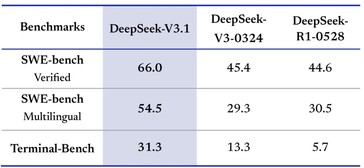 Les programmeurs apprécieront DeepSeek-V3.1 pour ses capacités de codage renforcées. (Source de l'image : DeepSeek)