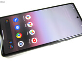 Certains utilisateurs du Google Pixel 6a rencontrent des problèmes massifs après la dernière mise à jour logicielle (Image source : Notebookcheck)