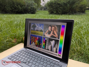 Bonne luminosité et surface mate