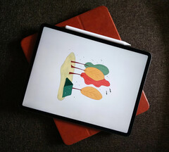 Il semble que Apple prépare le terrain pour la prochaine version de l&#039;iPad avec iPadOS 17.5. (Image source : Tony Sebastian)