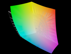 Le panneau couvre 95,5 % de l'espace colorimétrique AdobeRGB