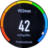 Entraînement de course à pied : VO2Max.