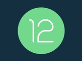 Android 12 est déjà populaire. (Source : Android)