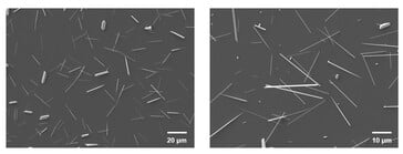 Images au microscope électronique à balayage des nanofils de tellure dans l'implant rétinien. (Source de l'image : Science. DOI : 10.1126/science.adu2987)