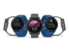 La version 14.08 de la bêta publique de Garmin a causé des problèmes qui ont conduit à un redémarrage dans certaines smartwatches. (Image source : Garmin)