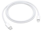 Est-ce le dernier combat de Lightning? (Source : Apple)