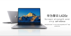 Le Qingyun L420z dans le coloris gris sidéral