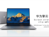 Le Qingyun L420z dans le coloris gris sidéral