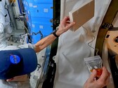 Le YouTubeur scientifique Steve Mould a revisité l'effet de fontaine en chaîne qu'il avait découvert, cette fois à bord de l'ISS, avec l'aide de l'astronaute Don Pettit. (Source de l'image : Steven Mould)