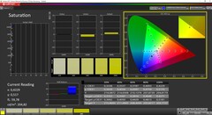 CalMAN - Saturation calibrée (espace couleur cible AdobeRGB)