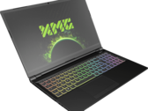 XMG fait ce qu'il faut en annonçant la puissance de ses options GPU GeForce RTX 30 (Source : Bestware.com)