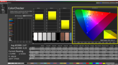 CalMAN ColorChecker