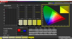 CalMAN Saturation calibrée