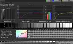 CalMAN échelle de gris