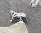 Le DJI Neo 2 en test public au printemps. (Source de l'image : Igor Bogdanov - édité)