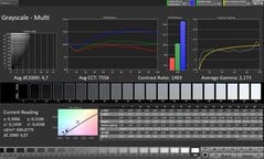 CalMAN Niveaux de gris