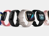 Tous les appareils actuels de Fitbit, à l'exception de l'Ace 3, prennent désormais en charge la gestion du stress. (Image source : Fitbit)