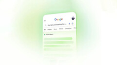 Google réagit aux réponses étranges données la semaine dernière par les responsables de l'IA (Image source : Google)