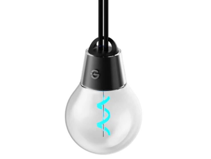 Les guirlandes lumineuses à filament Govee pour l'extérieur sont dotées d'une ampoule en forme de globe. (Source de l'image : Govee)