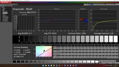 CalMAN : Échelles de gris (calibrées)