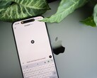 Un smartphone sur lequel est ouverte l'application ChatGPT, posé sur un ordinateur portable à côté de feuilles de plante