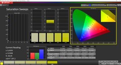 CalMAN saturation calibrée