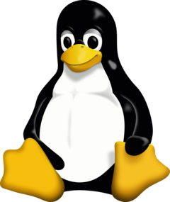 Grâce à Steam, Proton GE et Valve, jouer sur Linux est bien plus facile que vous ne le pensez. (Source : Wikipedia)