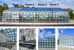 Quatre pièces séparées avec différents degrés de couverture par des panneaux solaires transparents ont été utilisées. (Source de l'image : Université Murdoch)