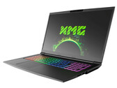 Courte critique du Schenker XMG Core 17 (i7-9750H, GTX 1660 Ti, FHD 144 Hz) Tongfang GK7CP6R