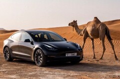 La Model 3 de Tesla est actuellement le véhicule le moins cher du constructeur automobile, avec un prix de 37 940 dollars après les récentes remises. (Source de l&#039;image : Tesla)