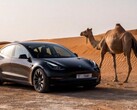 Outre la populaire Tesla Model Y, la Model 3 a également été testée dans des conditions extrêmement chaudes (Image : Tesla)