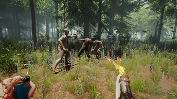 Une image montrant un combat dans The Forest.