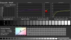 CalMAN : Niveaux de gris (calibrés)