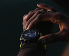 La dernière mise à jour de Garmin pour ses anciennes smartwatches Forerunner est la deuxième qu'elle publie cette semaine. (Source de l'image : Garmin)