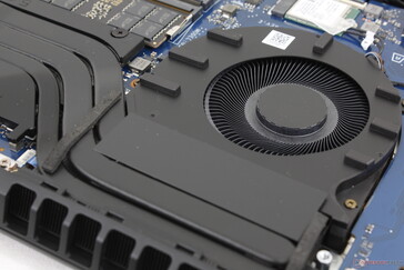 Le pouls des fans est moins fréquent que lors de l'Omen 17 de l'année dernière