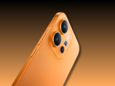 Le Vivo X300 E.