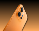 Le Vivo X300 E.