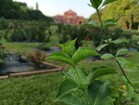 Redmi Note 13 5G : Appareil photo principal 108 MP