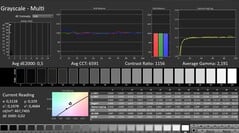 CalMAN : Niveaux de gris (calibrés)