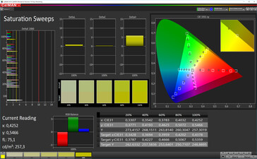 Asus ZenFone 6 - Saturation (Mode : Spectre large (optimisé), espace colorimétrique cible : DCI-P3).