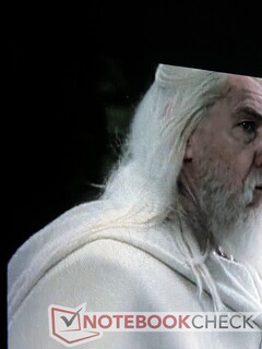 Les détails dans les zones de fort contraste (comme les cheveux de Gandalf) restent clairs.