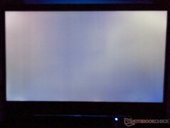 Acer Predator Triton 300 - saignement de l'écran