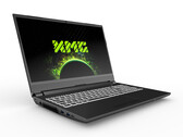 Le XMG APEX 15 M21 dispose de nombreux ports, notamment HDMI 2.1. (Image source : XMG)