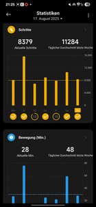 Xiaomi Smart Band 10 Activité