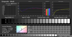 CalMAN : Niveaux de gris (calibrés)